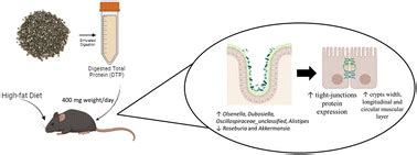 minecraft village seed|Effect of digested chia seed protein on the gut microbiota and .